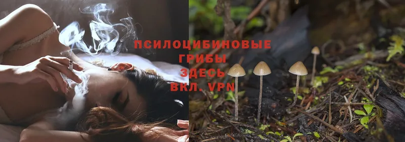 Псилоцибиновые грибы MAGIC MUSHROOMS  Апатиты 